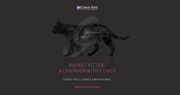 “Rocket Kitten”